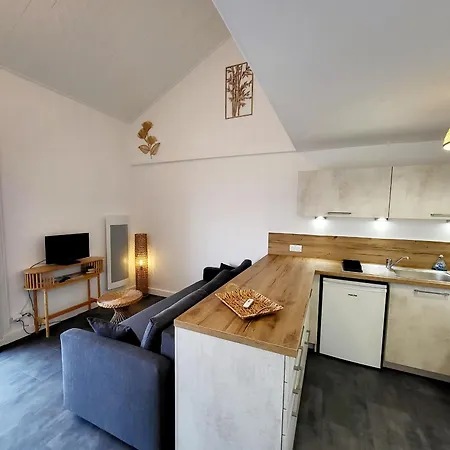 Appartement Les Sables-d'Olonne, 1 pièce, 4 personnes - FR-1-92-577 Appartement *